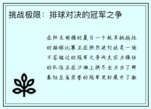 挑战极限：排球对决的冠军之争